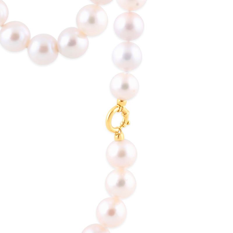 Freshwater Pearl Necklace with Gold Bolt Clasp - 10mm