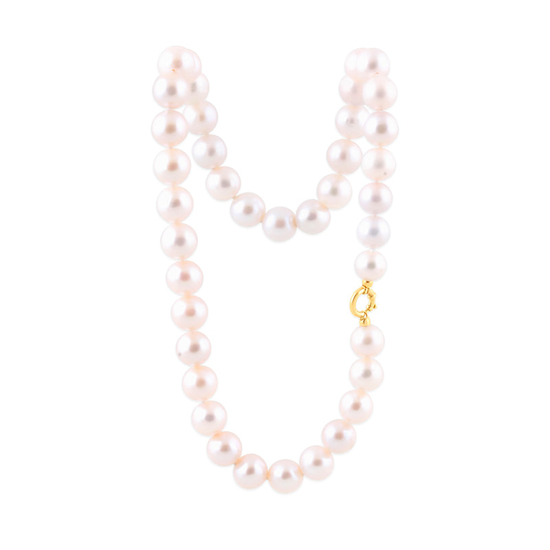 Freshwater Pearl Necklace with Gold Bolt Clasp - 10mm