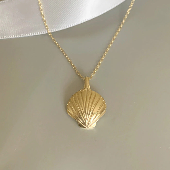 Seashell Pendant