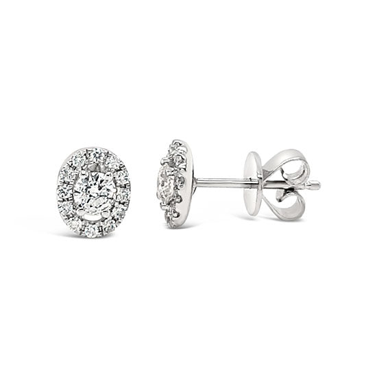 Diamond Studs Cullen and Co Jewellers